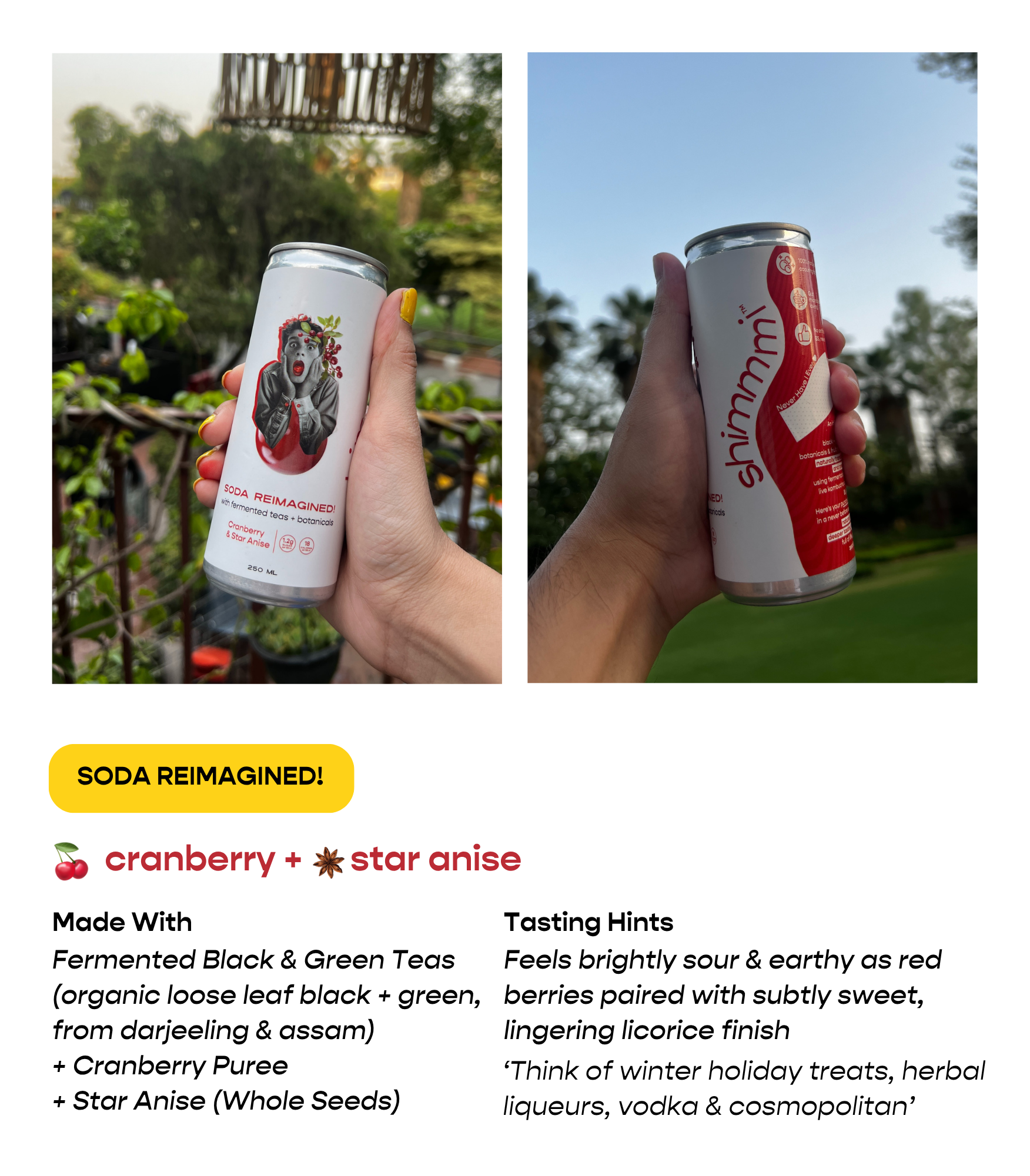 soda reimagined! - assorted box