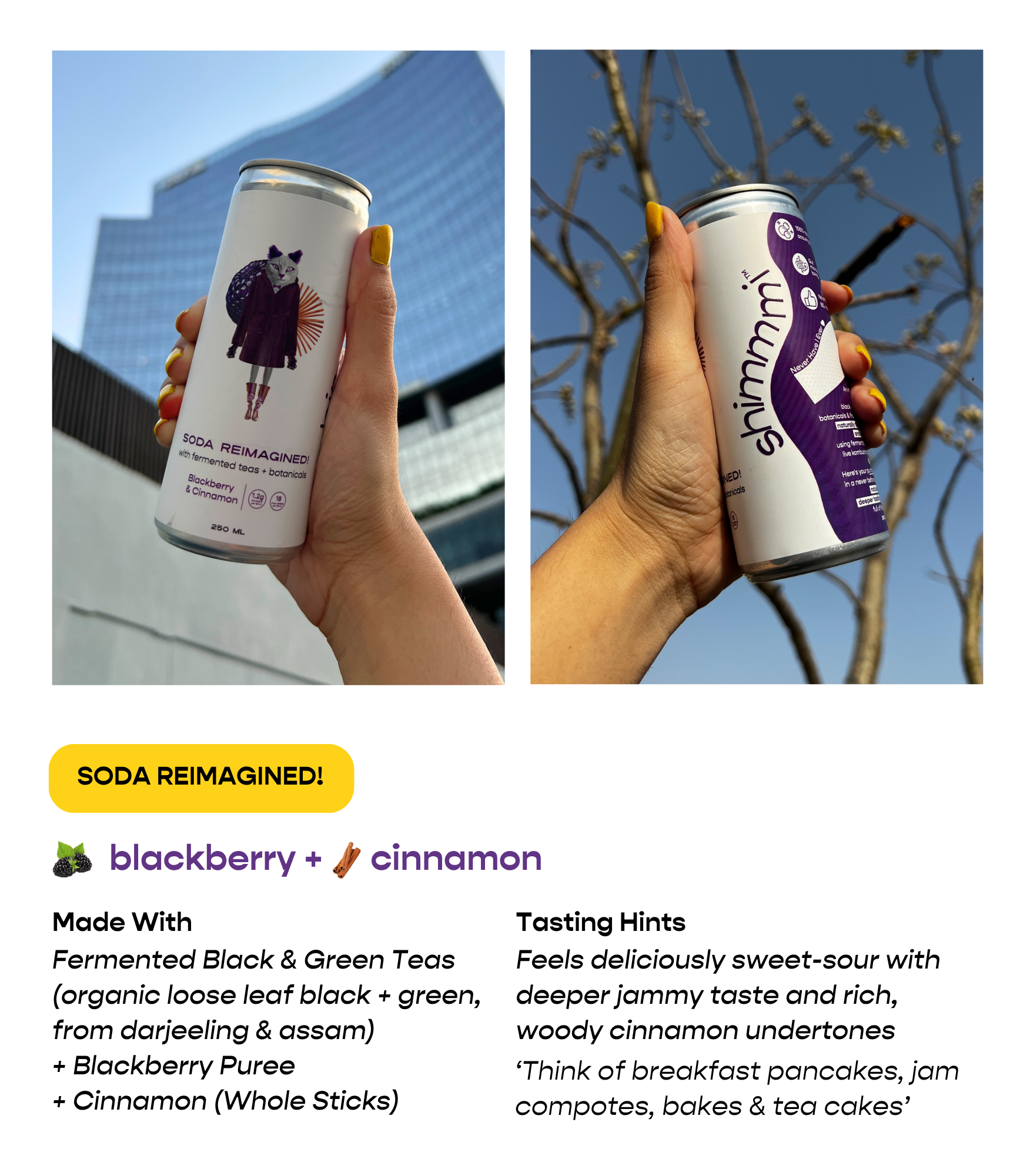 soda reimagined! - assorted box