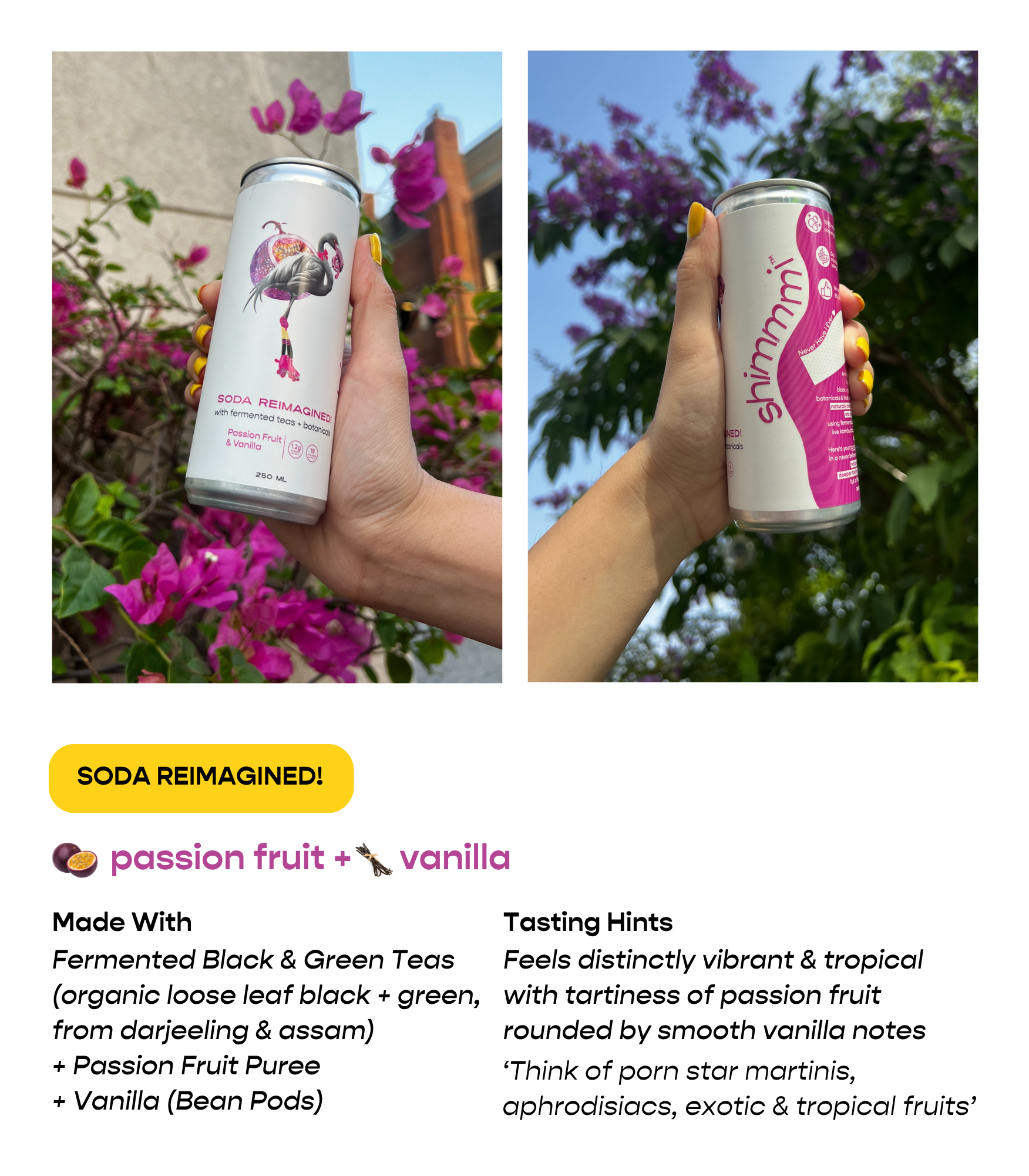 soda reimagined! - assorted box