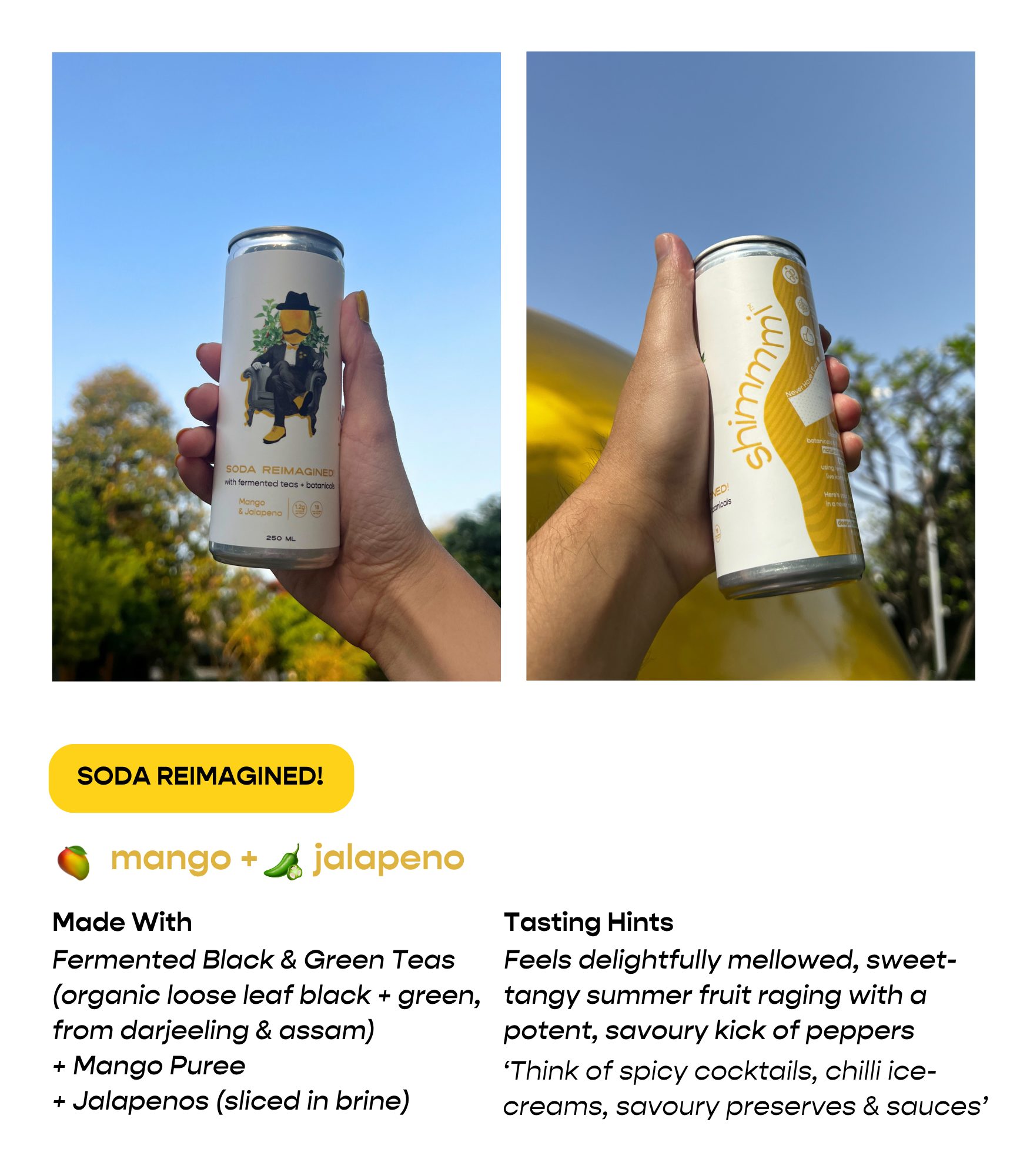 soda reimagined! - assorted box