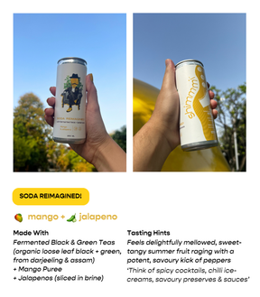 soda reimagined! - assorted box