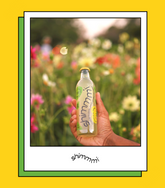 mintea citrus